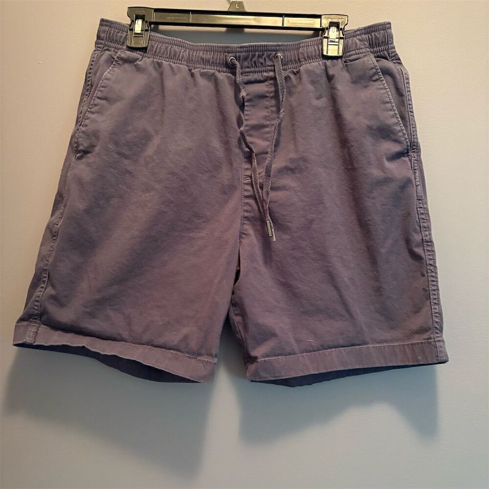 *3/$15 GAP Men's Casual Blue Shorts Size L Elastic Waist Summer